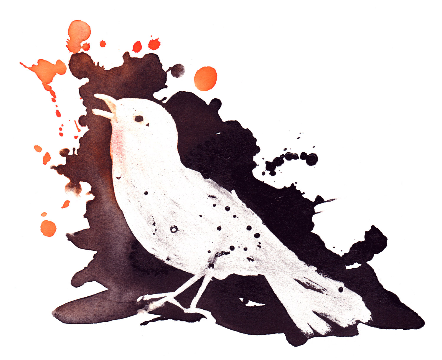 editorial for Les Inrocks Premium