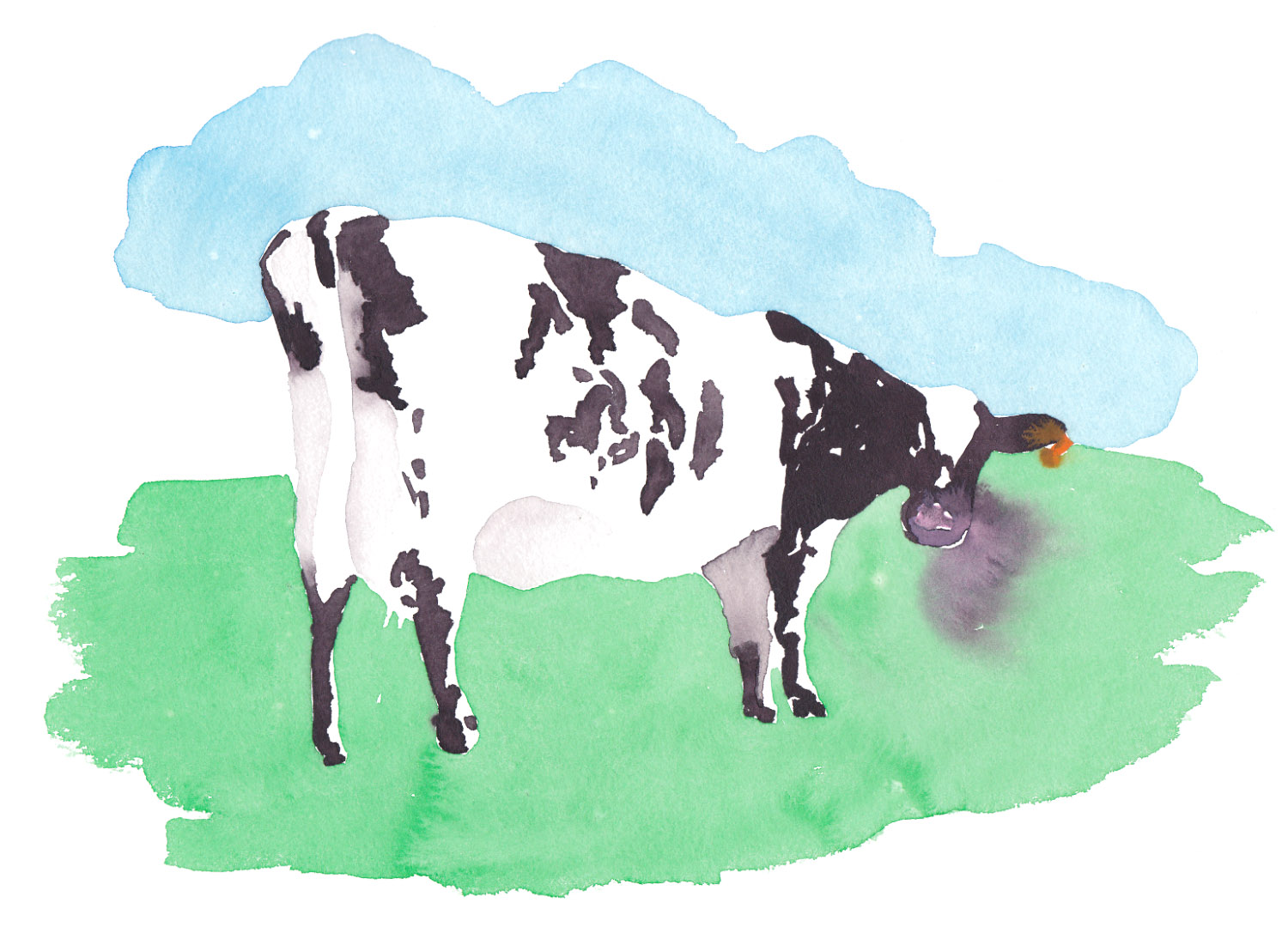 editorial for Les Inrockuptibles