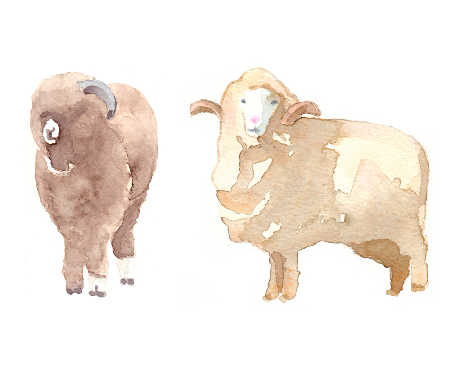 commission for Loro Piana